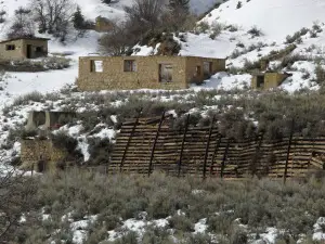 The Unseen Battle: Latuda’s Role in Utah’s Mental Health Landscape